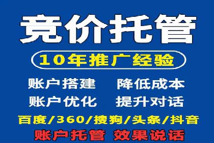 搜索引擎营销（SEM）竞价策略案例